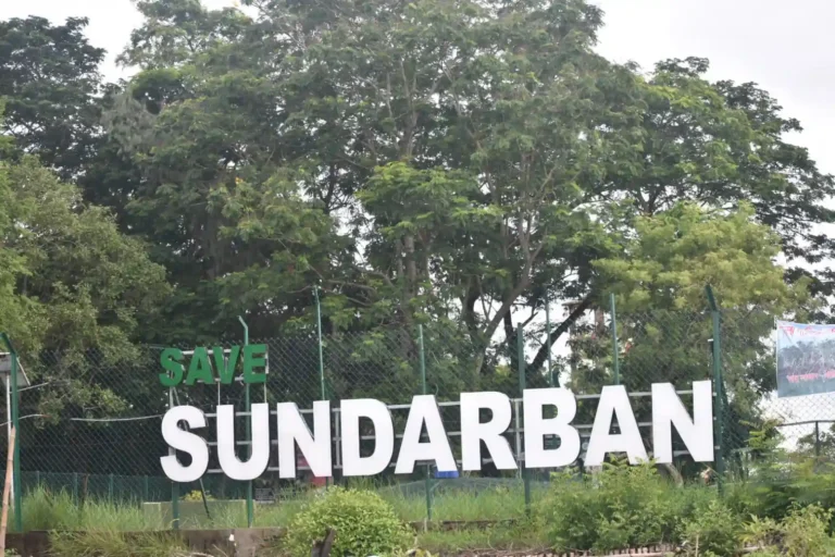 Save Sundarban