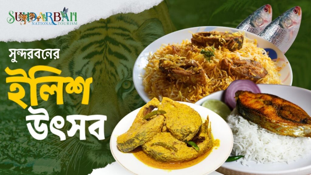 Sundarban Hilsa Festival 2024 from Kolkata