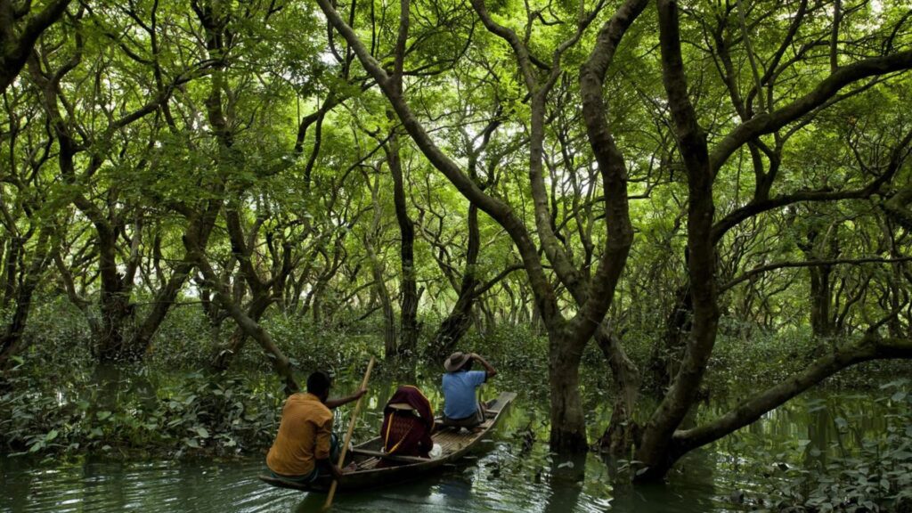Explore the Affordable Sundarban Tour Packages