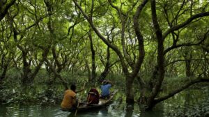 Explore the Affordable Sundarban Tour Packages