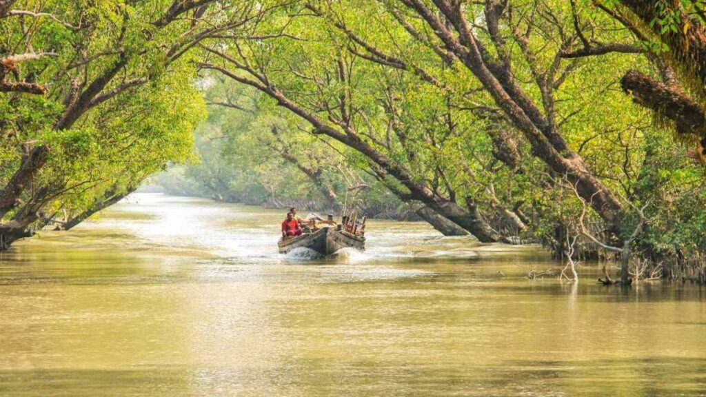 Book Your Sundarban West Bengal Tour Now!