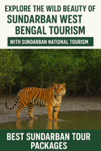 https://sundarbannationaltourism.com/